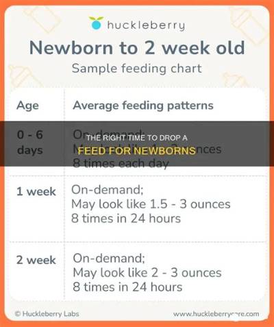 When Do Newborns Drop a Feed?