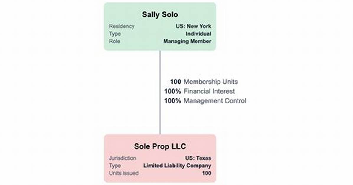 When Does a Llc Have Only One Owner?