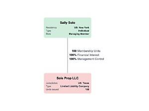 When Does a Llc Have Only One Owner?