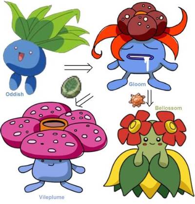 When Does Oddish Evolve in Pokemon Ruby?