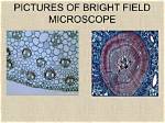 When Is Bright Field Microscopy Used?