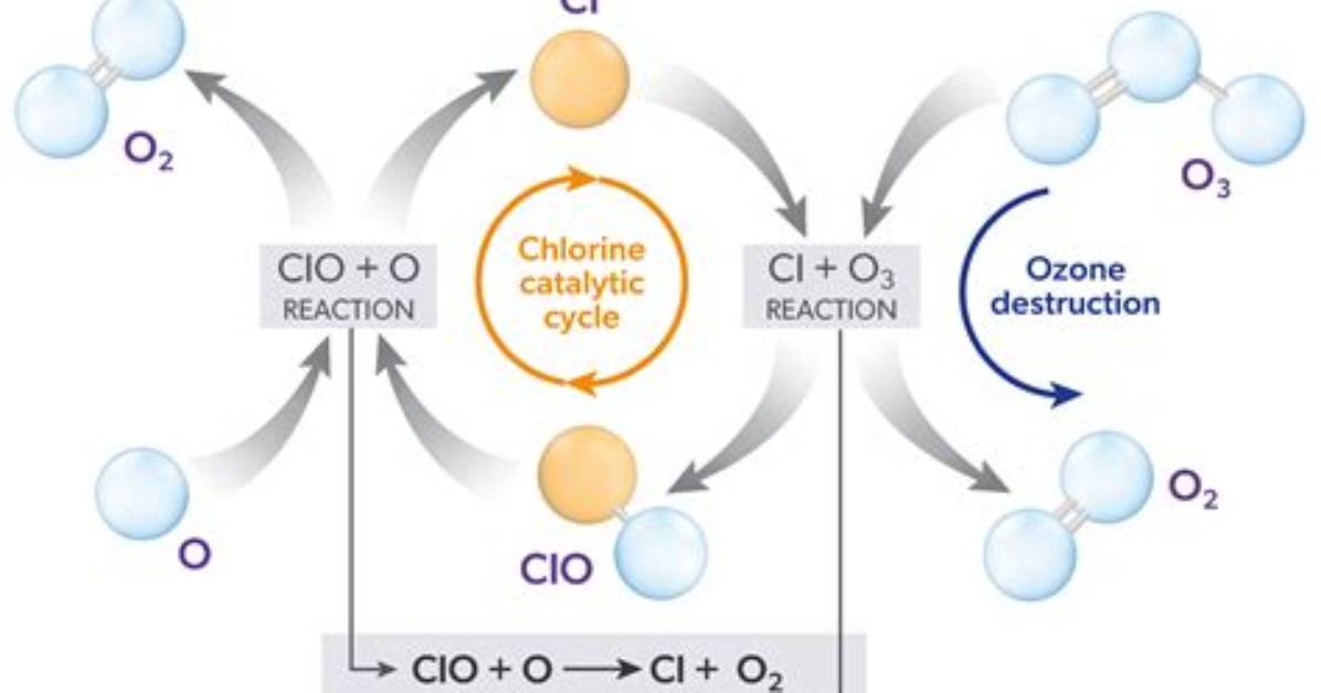 When Ozone Reacts with an Excess of Ki?