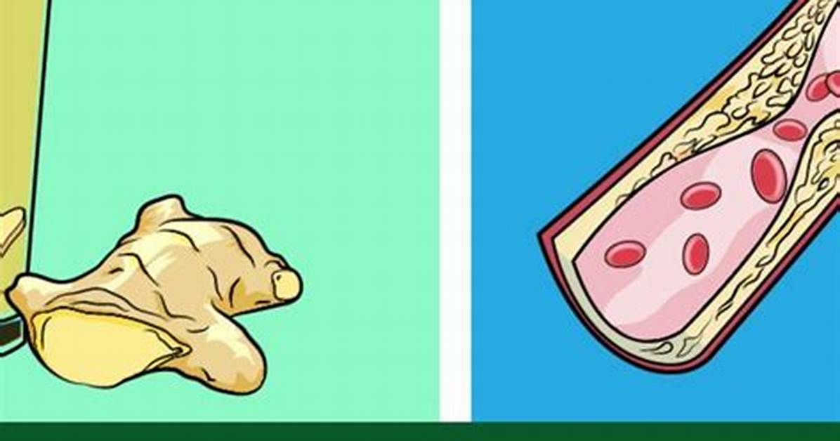 When Should I Drink Ginger?