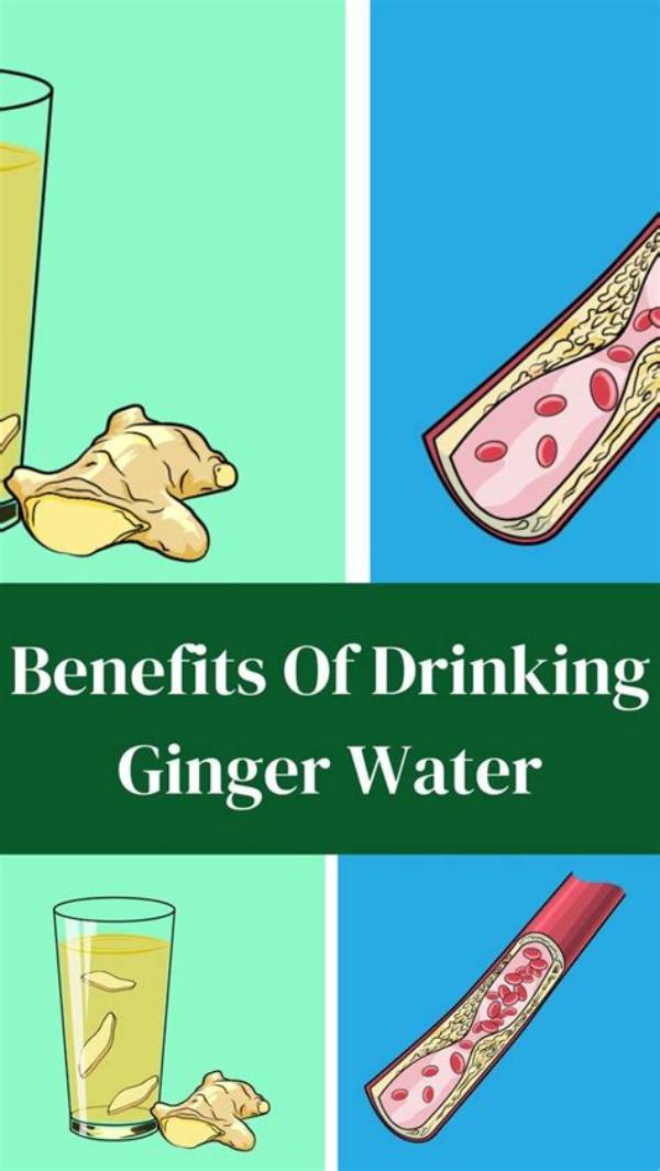 When Should I Drink Ginger?