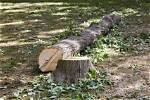 When to Use Cut Down?
