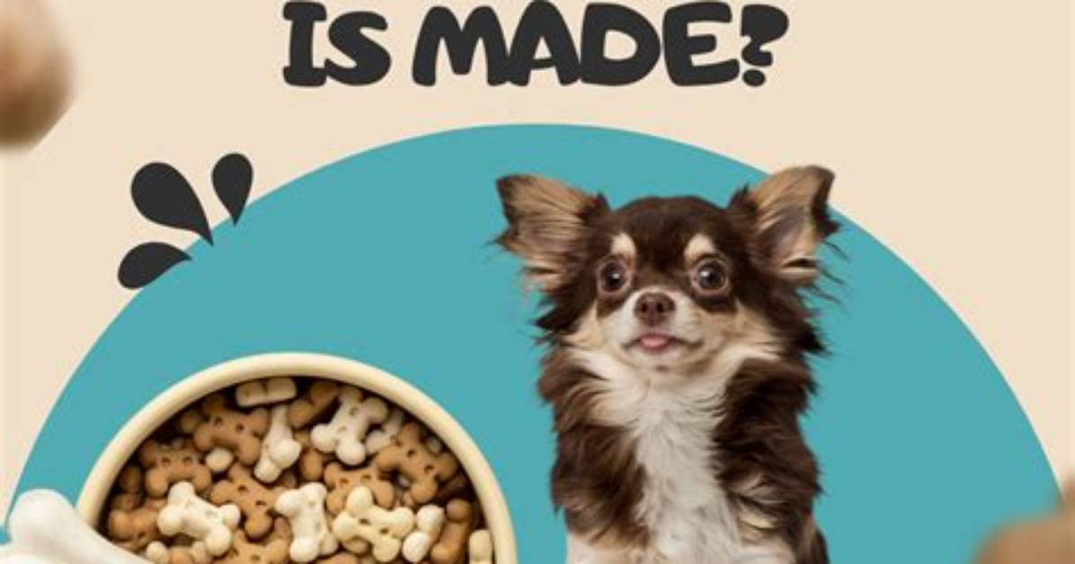 When Was Dog Made?