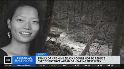 When Was Hae Min Lee Born? Exploring the Life and Legacy of Hae Min Lee