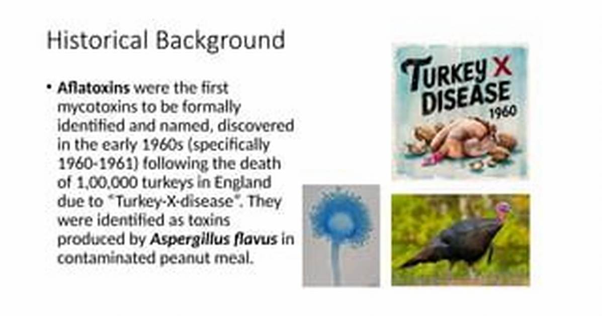 When Were Mycotoxins Discovered?