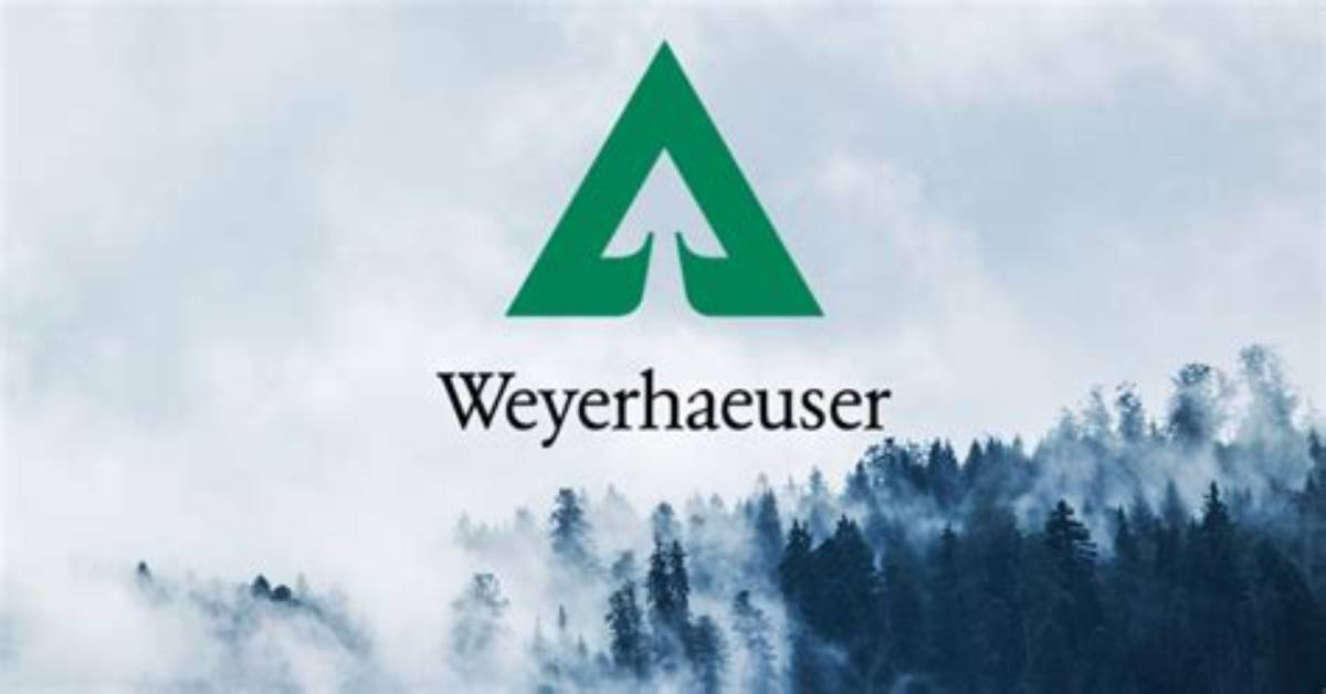 When Will Weyerhaeuser Reinstate
