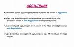 Where Are Agglutinins Found?