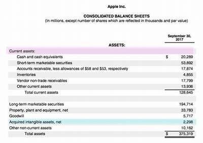 Where Are Intangibles Listed on the Balance Sheet?