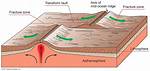 Where Are Most Transform Faults Found?