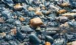 Where Are Pebbles Transported by Streams?