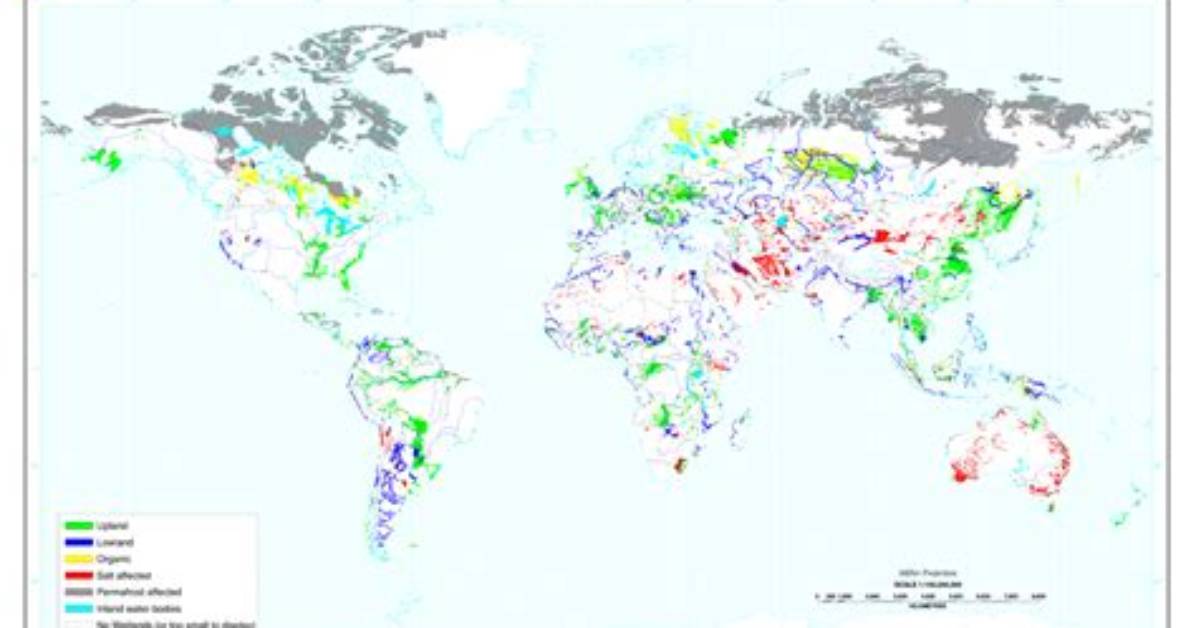 Where Are Wetlands Located Around the World