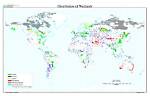 Where Are Wetlands Located Around the World