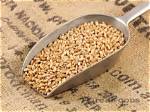 Where Can I Buy Wheat Grain