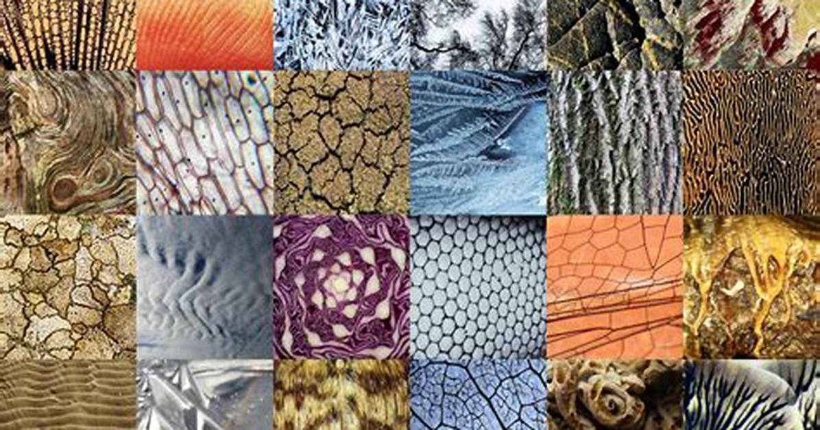 Where Can We Find Patterns in Nature?