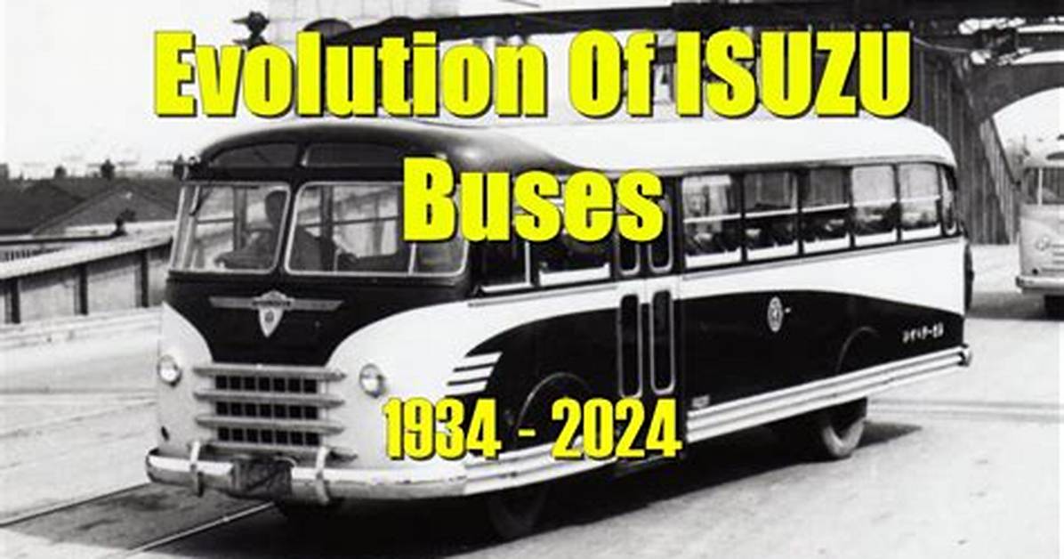Where Did the Buses Come from?