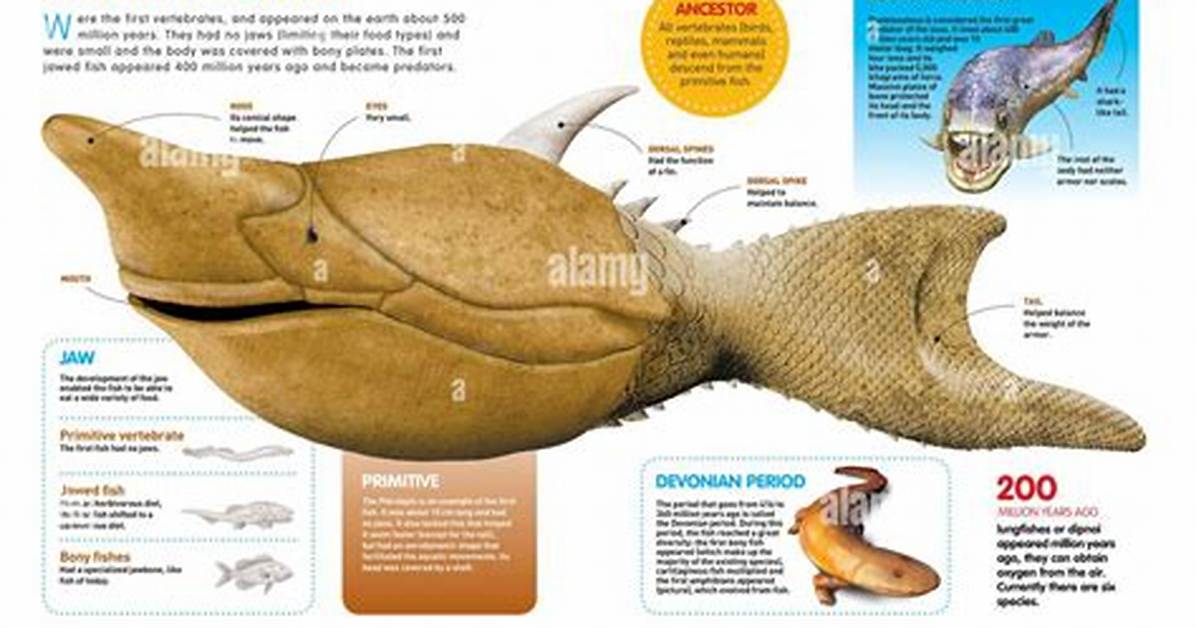 Where Did the Fish Come from?