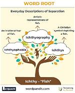 Where Did the Word Ichthy Come from?
