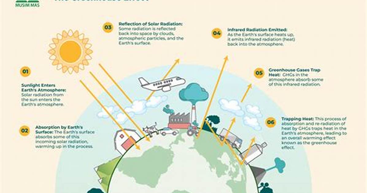 Where Do Greenhouse Gases Come from?