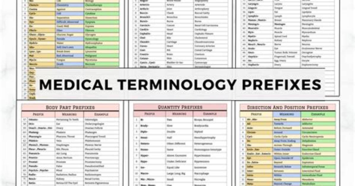 Where Do Medical Prefixes and Suffixes Go Together?