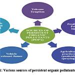 Where Do Persistent Organic Pollutants Come from?