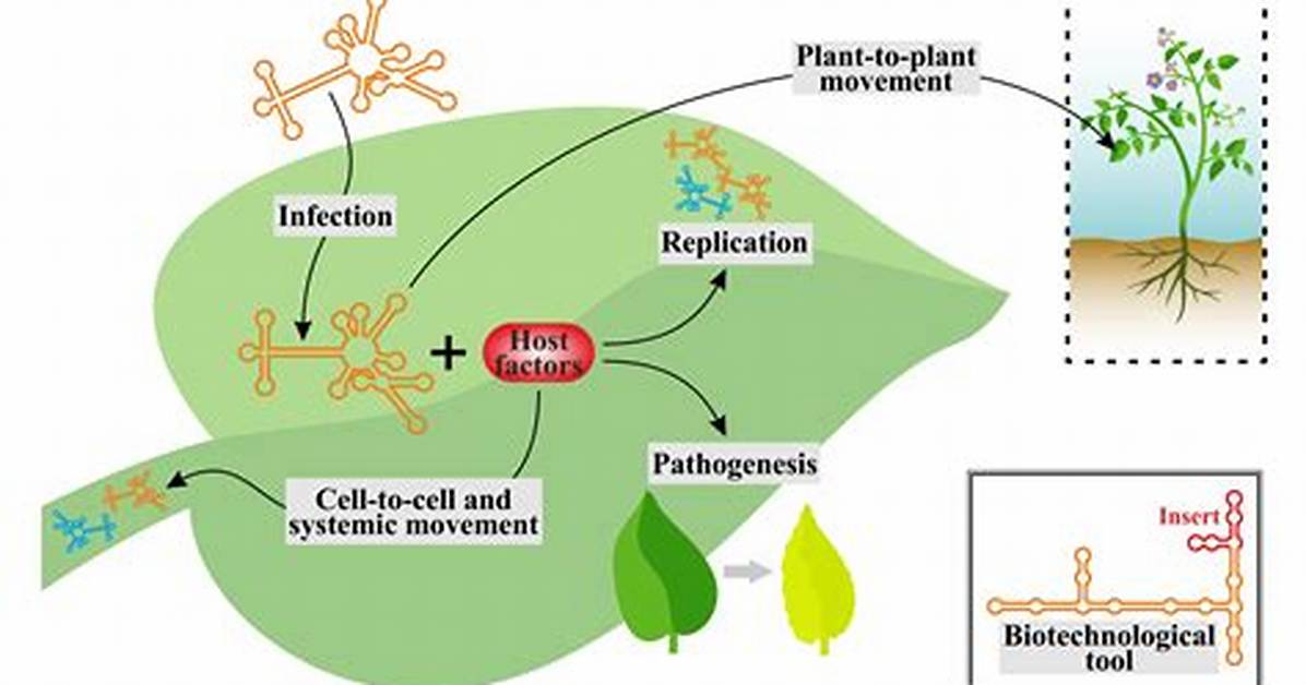 Where Do Viroid Come from?