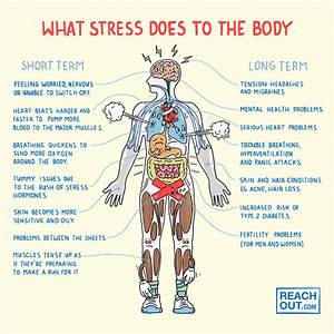 Where Do You Breakout from Stress?