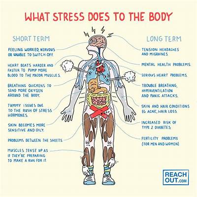 Where Do You Breakout from Stress?