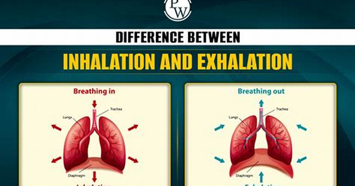 Where Does Inhalation Mean?