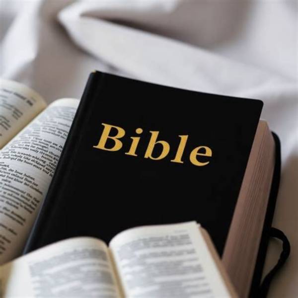 Where Does It Say in the Bible Come to Me and I Will Give You Rest?