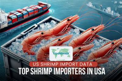 Where Does the Us Import Shrimp from?