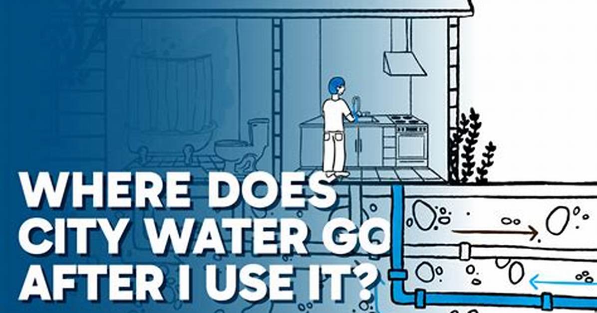 Where Does Water Go After We Use It