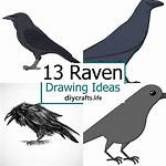 Where Drawing Come from?