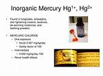Where Is Inorganic Mercury Found?
