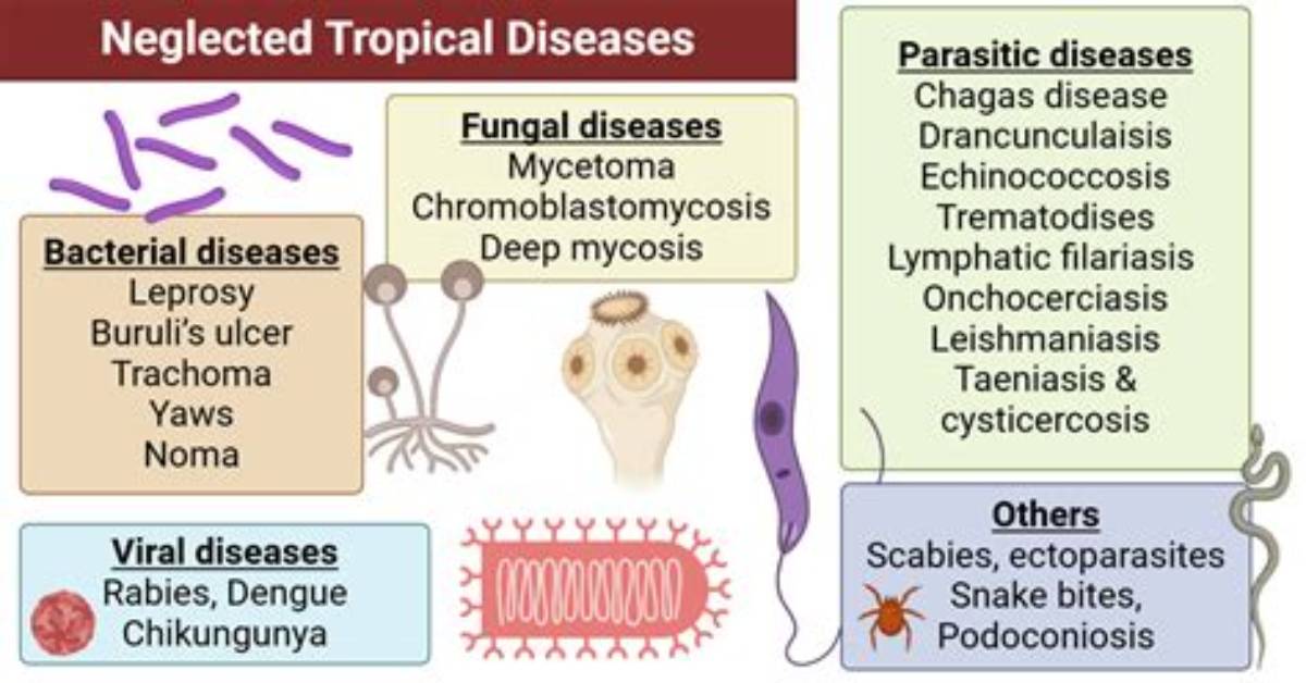 Where Is Neglected Tropical Disease?