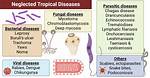 Where Is Neglected Tropical Disease?