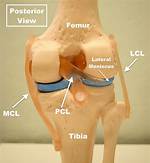 Where Is Pcl Located?