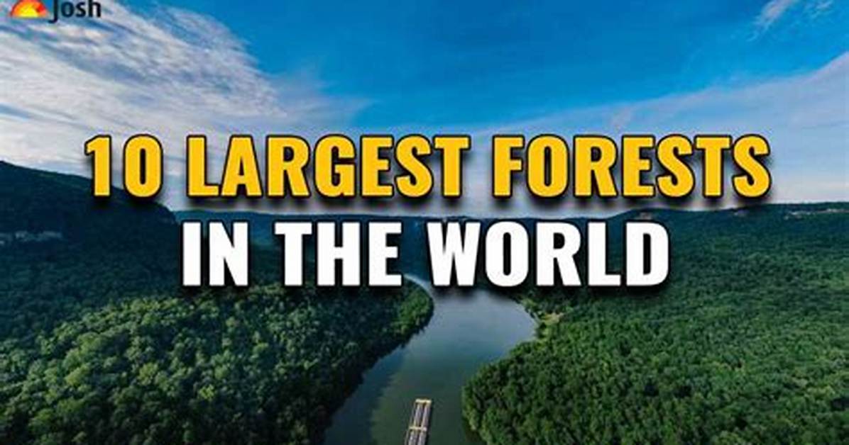 Where Is the Largest Forest in the Uk?