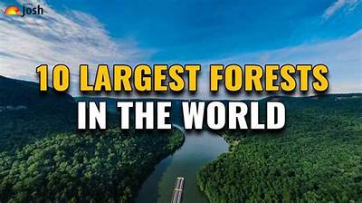 Where Is the Largest Forest in the Uk?