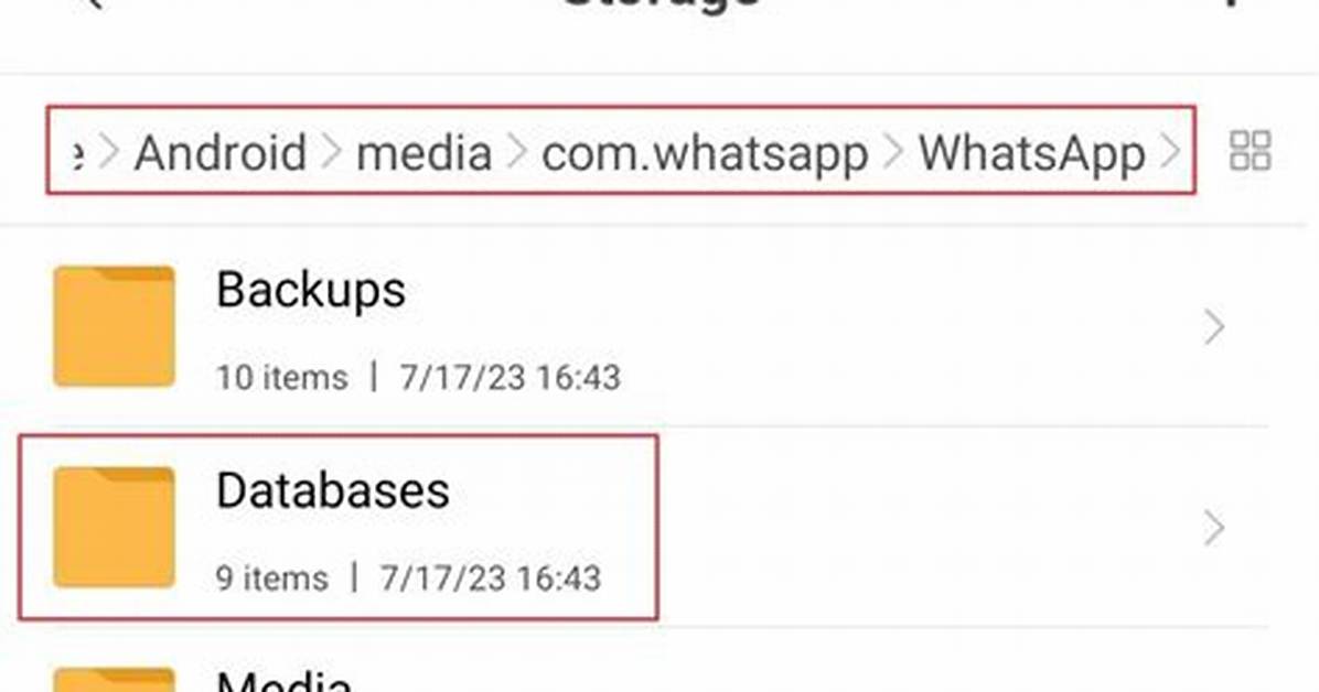 Where Is Whatsapp Database Folder in Android?