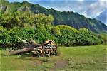 Where Jurassic Park Was Filmed in Hawaii?