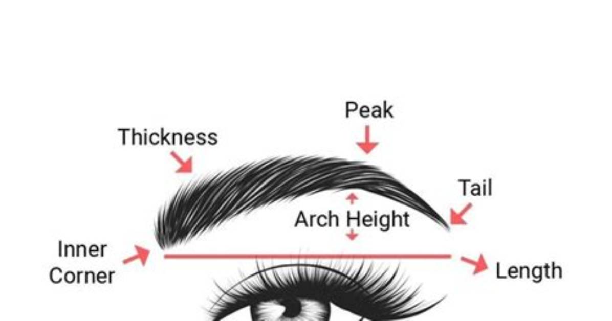 Where Should Eyebrow Tail End?