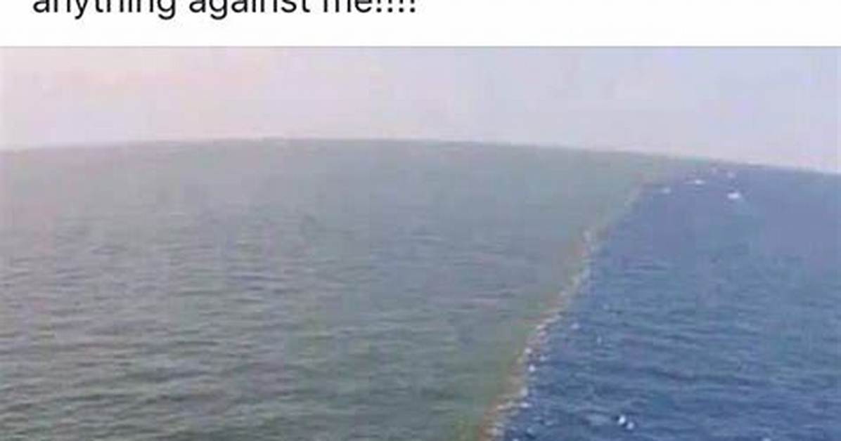 Where the Mississippi River Meets the Ocean