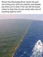 Where the Mississippi River Meets the Ocean