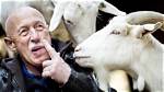 Where Was Dr Pol Born