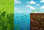 Where Was Fresh Water and Fertile Soil Available?