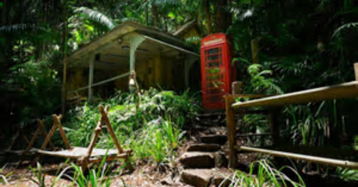 Where Was Mchales Filmed? Celebrity. Fm #1 Official Stars, Business & People Network, Wiki, S