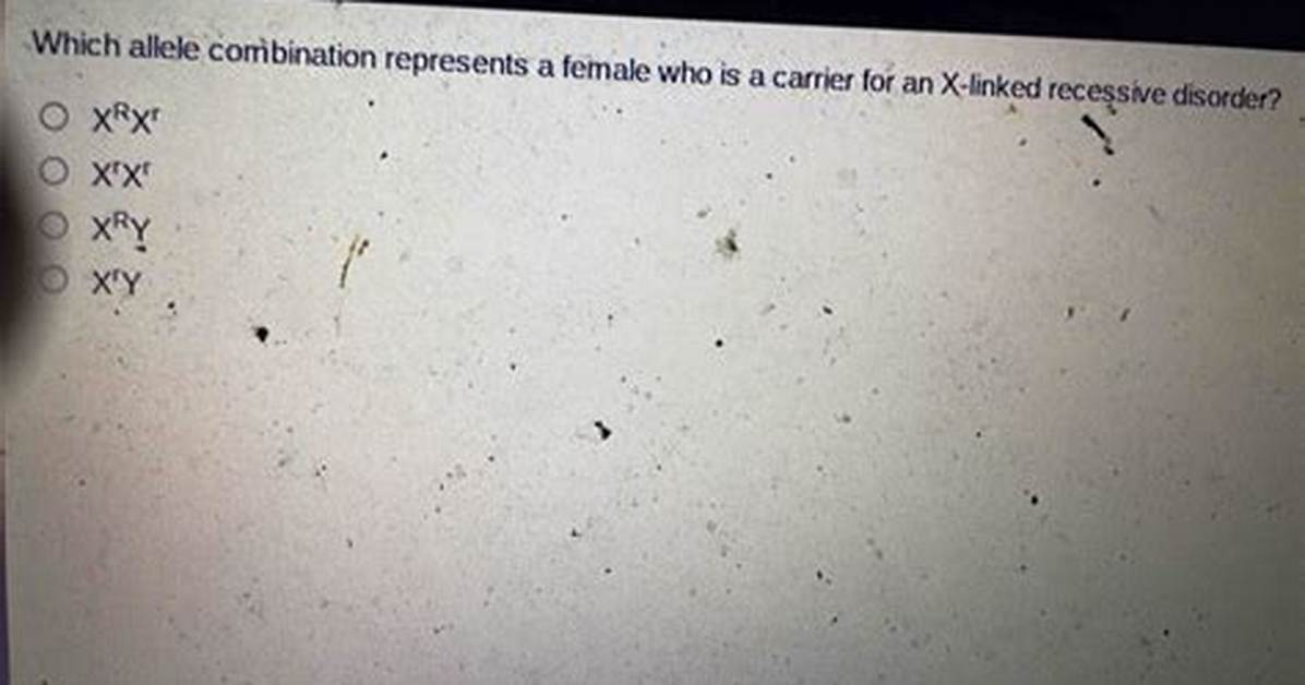 Which Allele Combination Represents a Female?